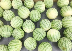 老照片高清修复神器免费版下载v3.1.3 