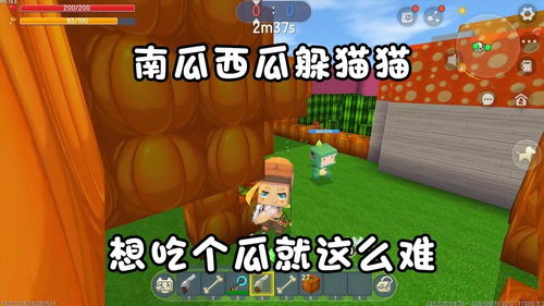 黑料吃瓜网apk普通安装 