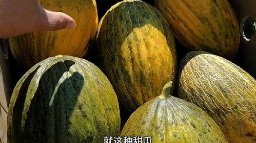 就喜欢你不喜欢我 
