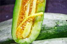 黑料吃瓜网apk普通安装 