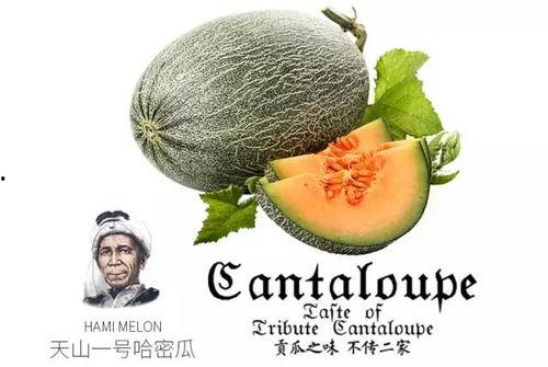 黑料吃瓜网apk普通安装 