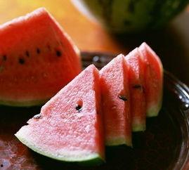 怎么样才能不当社畜:妻子的故事 
