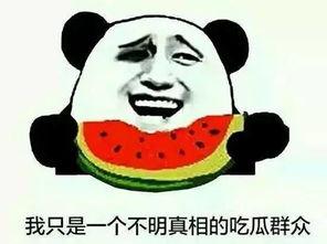 黑料吃瓜网apk普通安装 