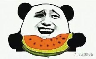 黑料吃瓜网apk普通安装 