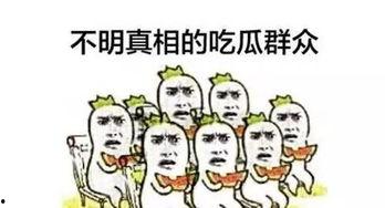 黑料吃瓜网apk普通安装 