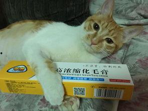 黑料吃瓜网apk普通安装 