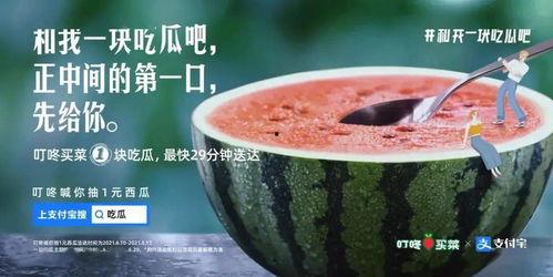 甜瓜新乐场 